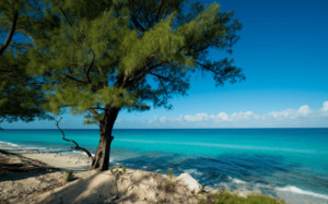 Bimini Island