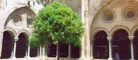 Tarragona