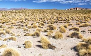 Bolivia