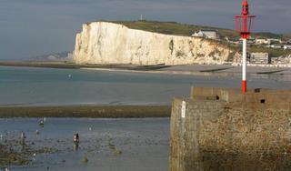 Dover