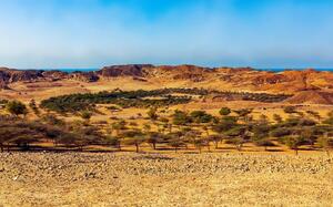 Sir Bani Yas