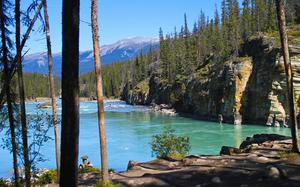 Rio Athabasca