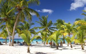 Isla Saona
