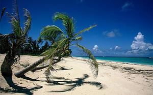 Boca Chica