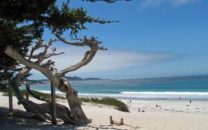 Carmel