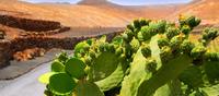 Lanzarote