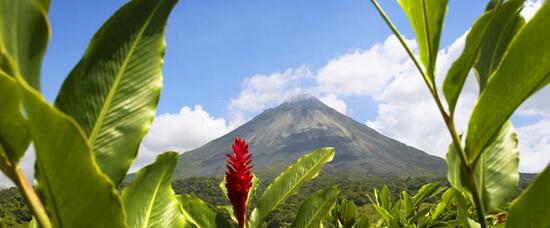 Viajes a Dominical