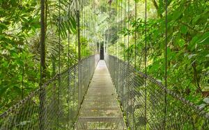 Monteverde