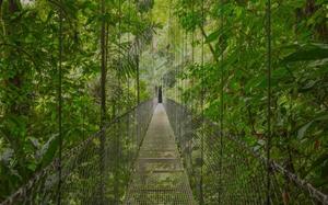 Monteverde