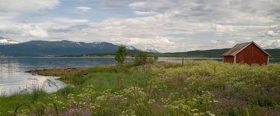 Viajes a Tromso