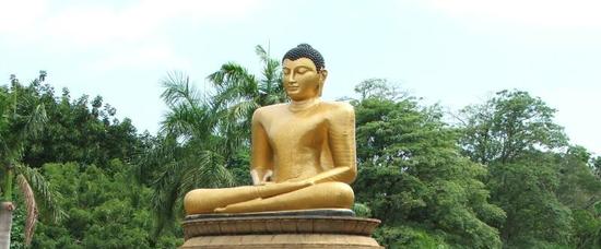 Viajes a Colombo