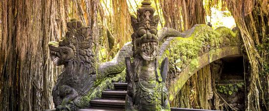 Viajes a Ubud