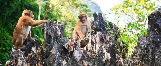 Viajes a Ubud