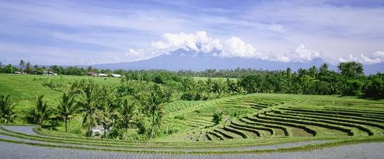 Viajes a Kuta