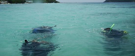 Viajes a Cayo Largo