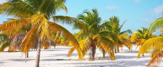 Viajes a Cayo Largo