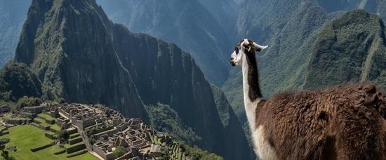 Viajes a Machu Picchu