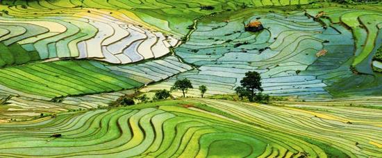 Viajes a Viet Tri