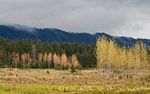 Paisaje t�pico