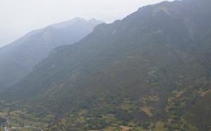 Campo