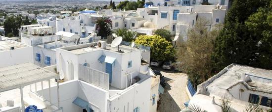 Viajes a Sidi Bou Said