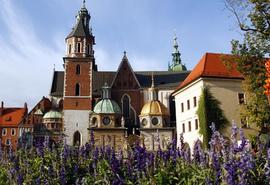 Cracovia