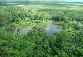 Belice City