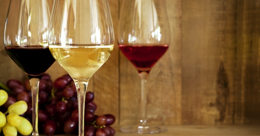 Cata de los vinos de D.O. de Montilla-Moriles
