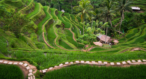 Santuarios, arrozales, islas Gili y playas de Bali