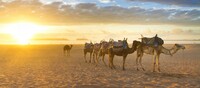 Marruecos al completo en 8 d�as