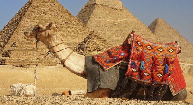 Egipto 8 das chrter LU+SA+paquete visitas Atrpalo  4