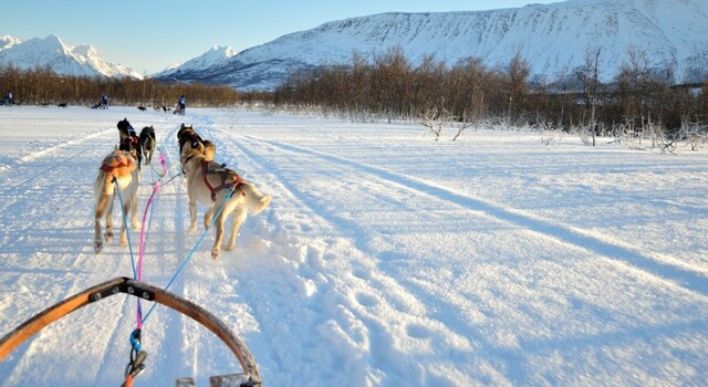 VOSBLACKFRATRA25 Magia �rtica en Tromso y Lofoten 5