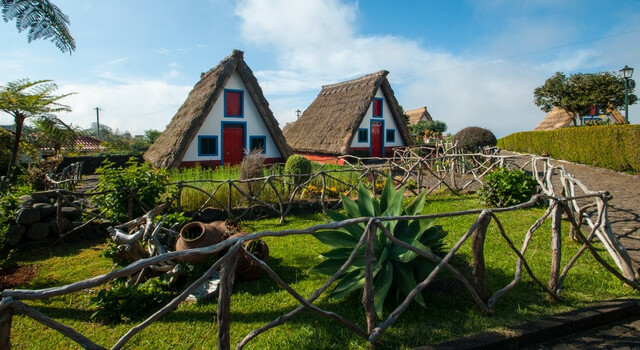 Madeira Deslumbrante 5
