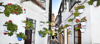 En el coraz�n de la Subb�tica