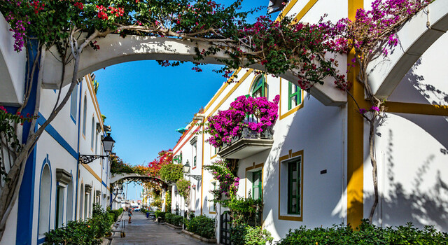Gran Canaria a tu aire 5