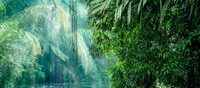 Costa Rica en 15 d�as