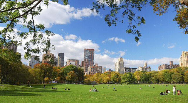 Nueva York y Repblica Dominicana a tu aire 3