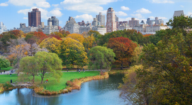 Nueva York, Orlando y Riviera Maya a tu aire 4