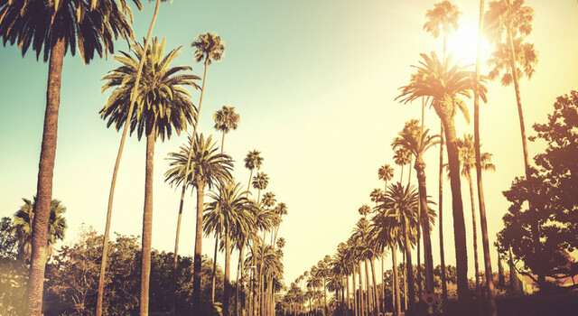 Las Vegas, Los �ngeles y San Francisco a tu aire 4