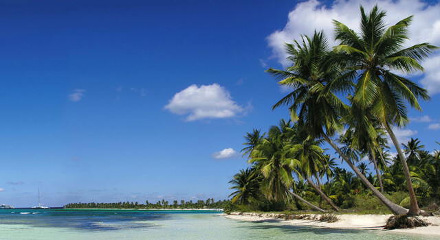 San Francisco y Rep�blica Dominicana a tu aire 4