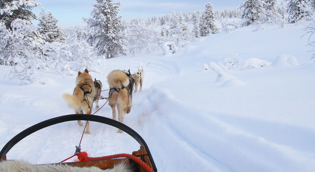 Papa Noel y Aurora Boreal 4