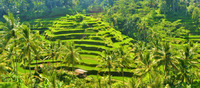Aventura en Bali 