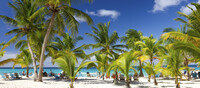 Punta Cana, id�lica y caribe�a