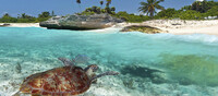 Riviera Maya, el Caribe mexicano 