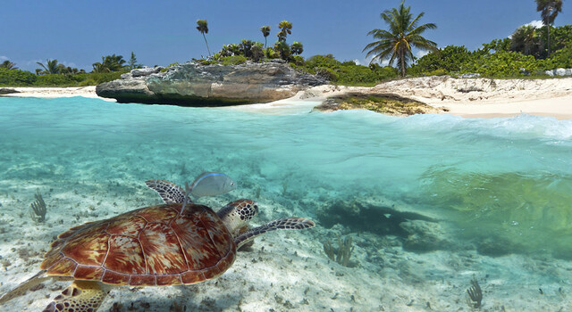 Riviera Maya, sum�rgete en el Caribe mexicano 2