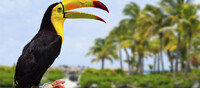 Riviera Maya, el Caribe mexicano 