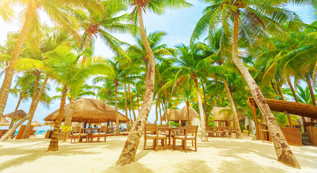 Riviera Maya, sum�rgete en el Caribe mexicano 5