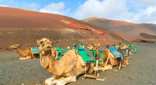 Combinado Tenerife y Lanzarote con coche 3