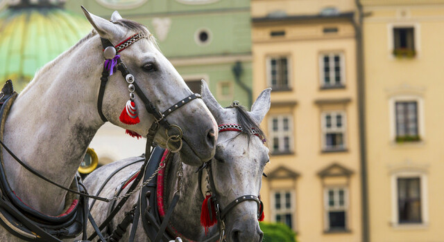 Combinado de Praga y Cracovia 6