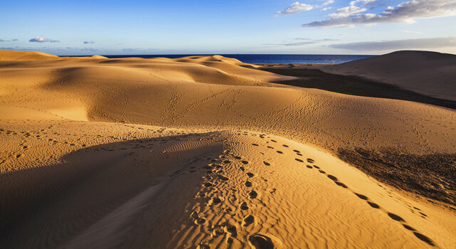 Estancia en Gran Canaria 5